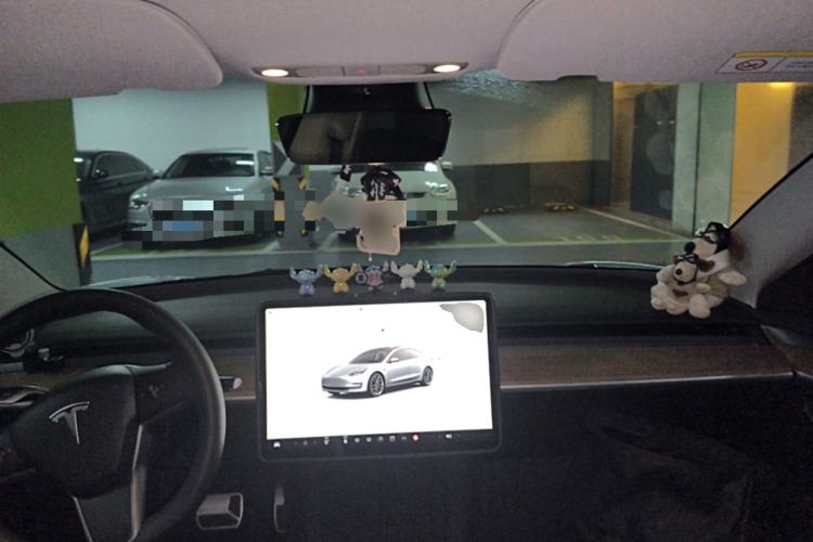 Used Tesla Model 3 2022 Rear-Wheel-Drive Version