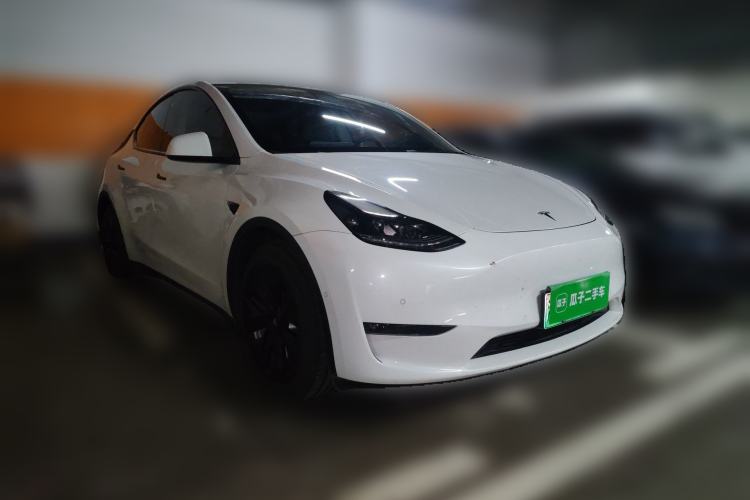 Used Tesla Model Y 2021 Standard Range Rear-Wheel Drive Version