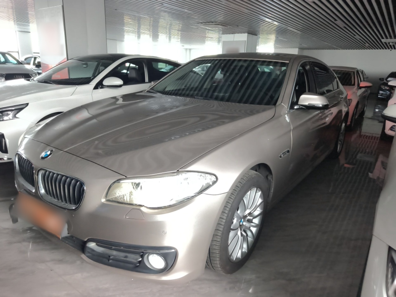 Parte inferior delantera