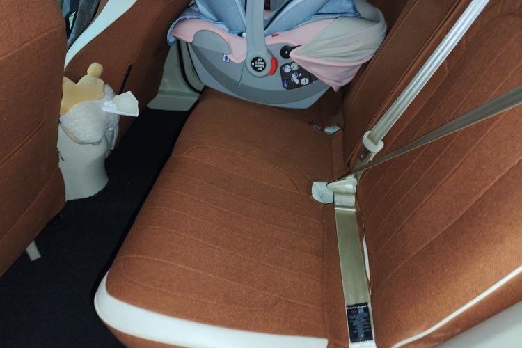 Used ORA Good Cat 2021 400km Standard Range Athena Edition Lithium-Ion Battery