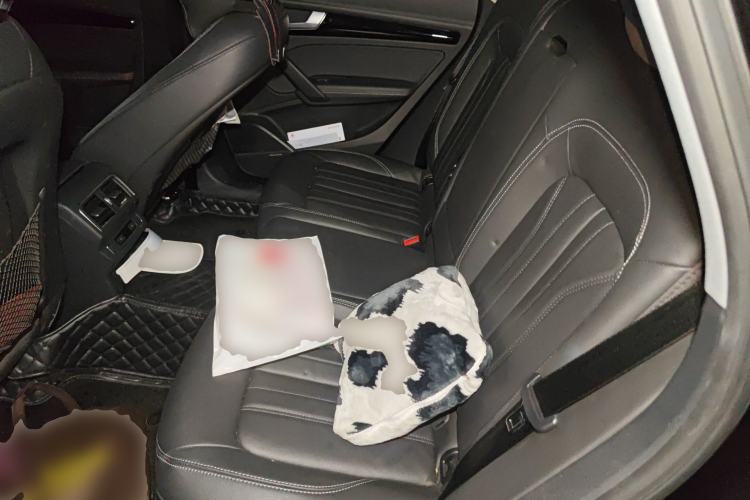 Used Audi Q5L 2020 Updated 40 TFSI Prestige Fashion Edition Left Rear Seat