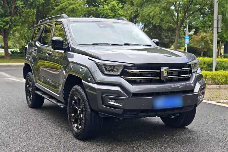 Used Tank 400 2025 2.0T Gasoline Version
