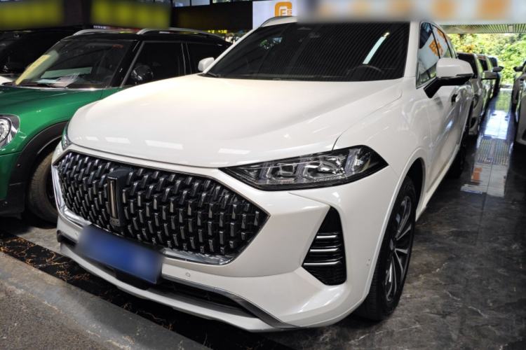 Used Wey Mocha 2021 2.0T Two-Wheel-Drive Premium Edition