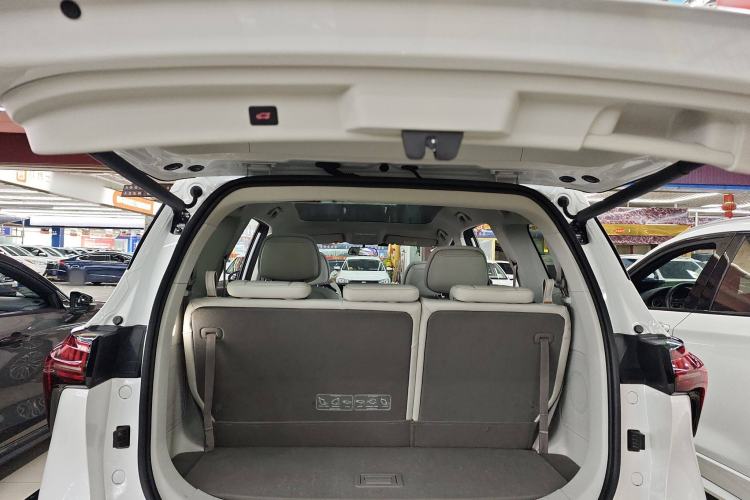 Used FORTHING Yacht 2023 1.5T DCT Starry Luxury Edition