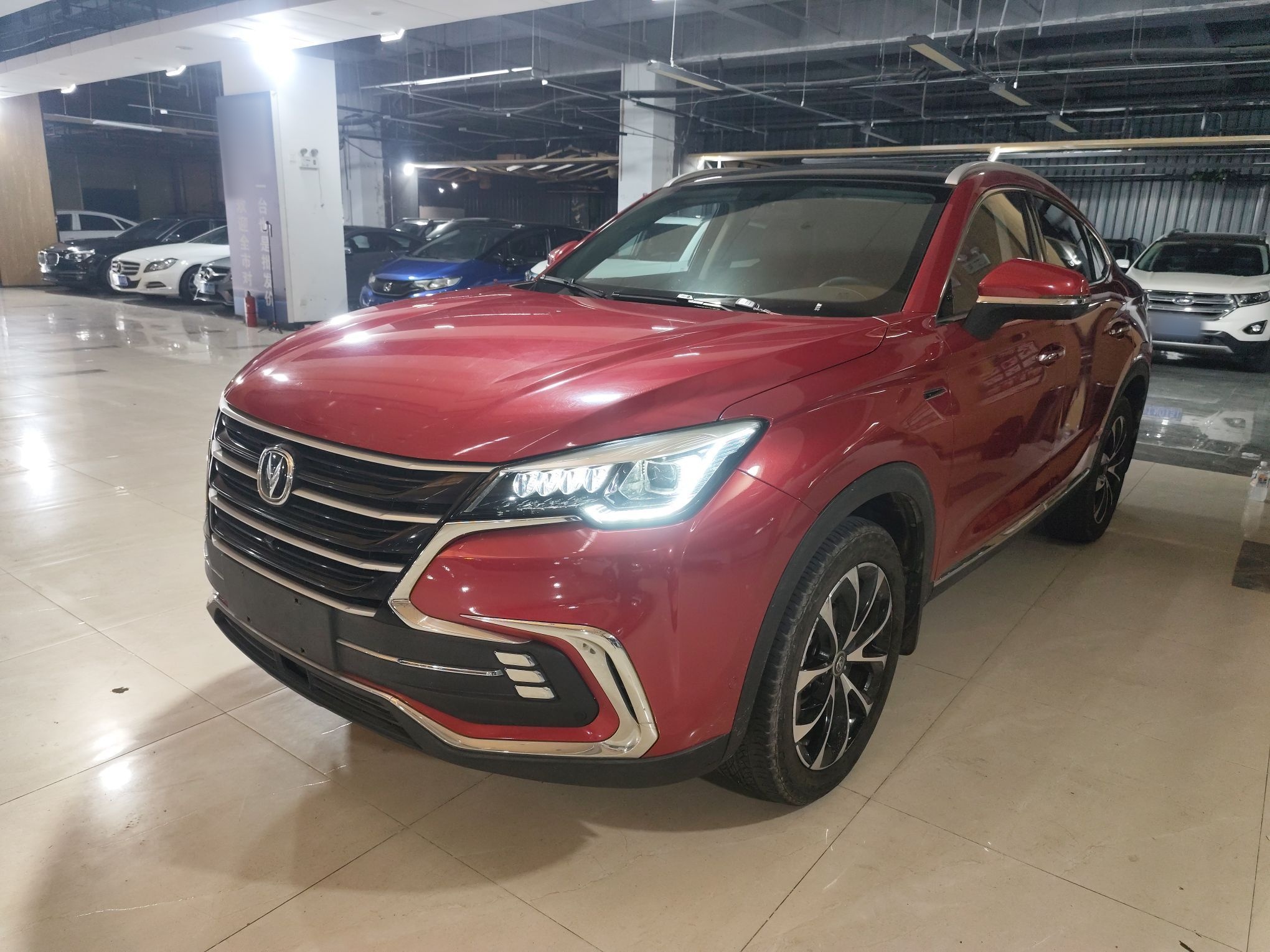 Parte inferior delantera