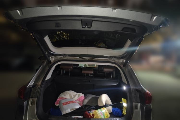 Used Wey VV6 2018 2.0T Two-Wheel Drive Flagship Version China V Standard
