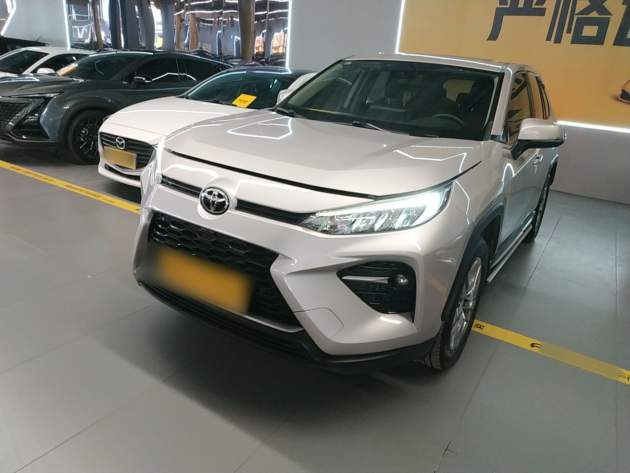 تحت مقدمة السيارة