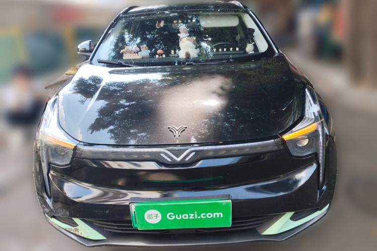 Used NETA U 2023 NETA U-Ⅱ Challenge Edition 400 Lite Lithium Iron Phosphate
