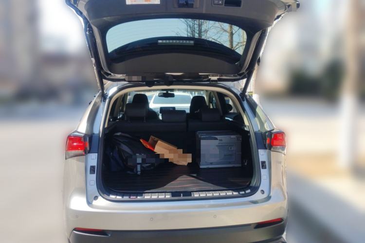 Used Lexus NX 2020 300 Front-Wheel-Drive Frenza Edition China V Standard
