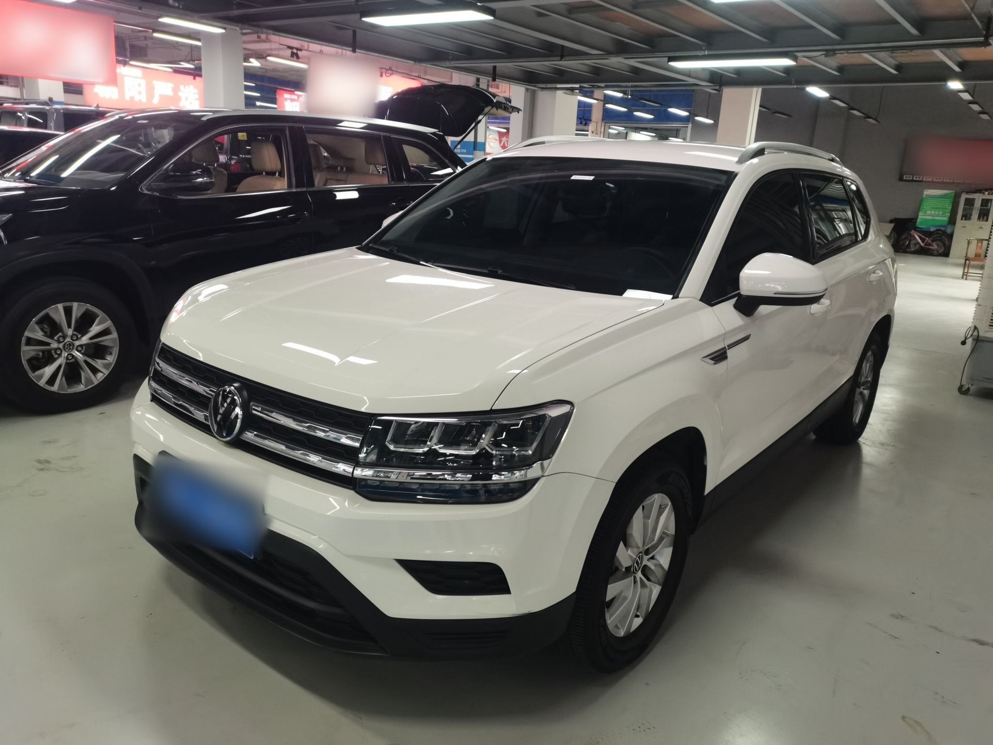 Parte inferior delantera