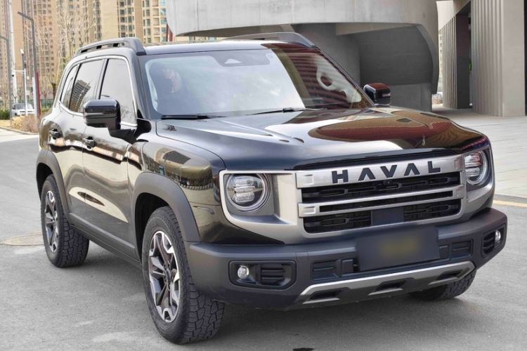 Used Haval DARGO 2024 2.0T DCT Chinese Rural Dog Edition
