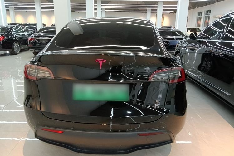 Used Tesla Model Y 2021 Standard Range Rear-Wheel Drive Version Rear