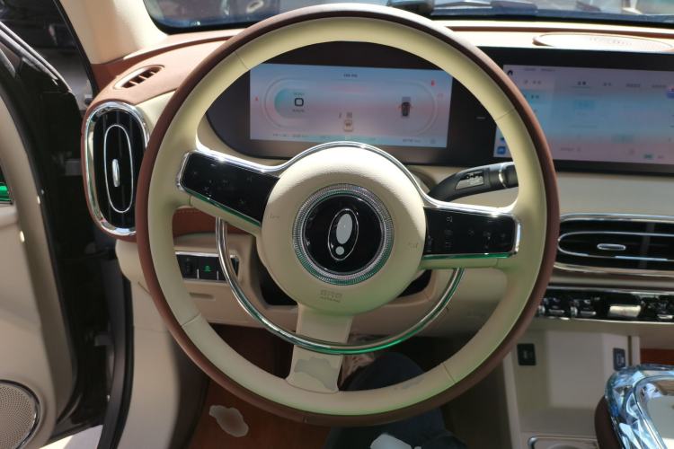 Used ORA Ballet Cat 2023 401 km Luxury Version Steering Wheel