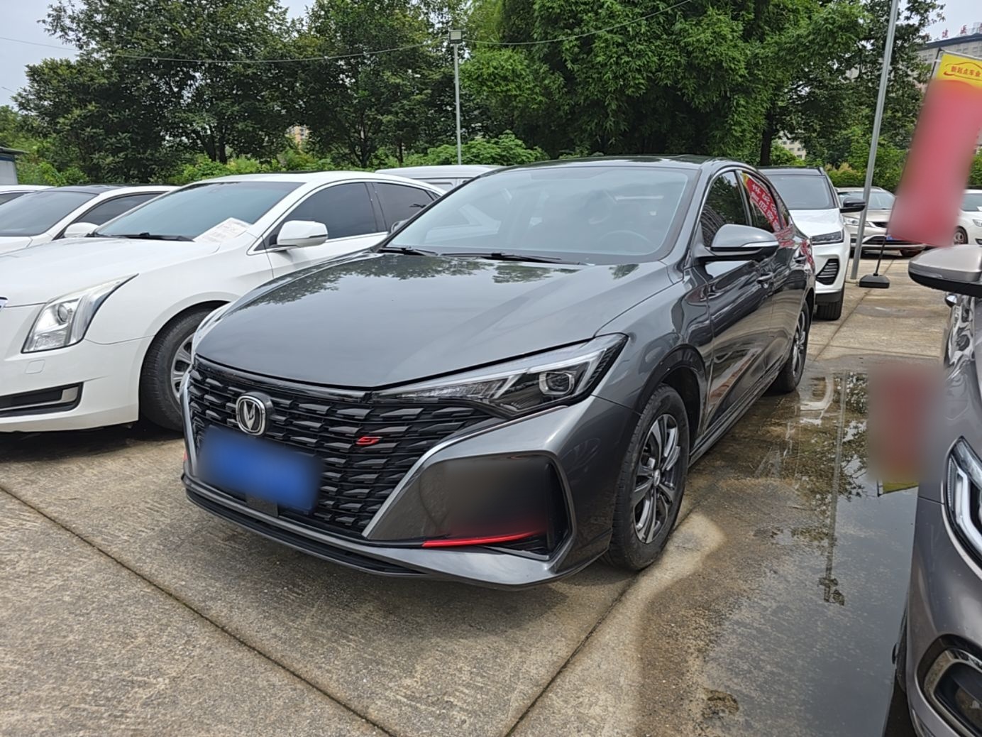 Under Front Bumper