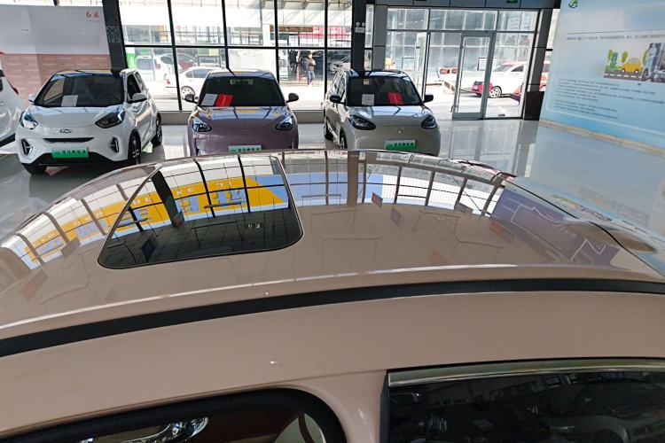 Used ORA Ballet Cat 2023 401 km Luxury Version Roof