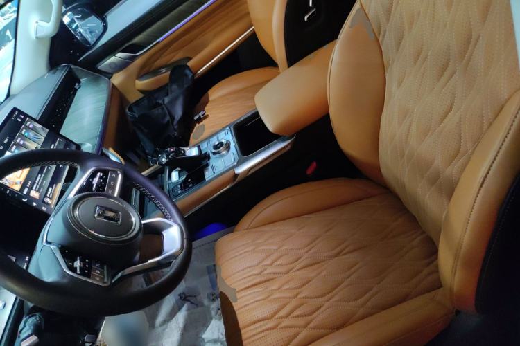 Used Tank 500 2022 3.0T Sport Edition "Creation" Version 5-Seater Left Front Seat