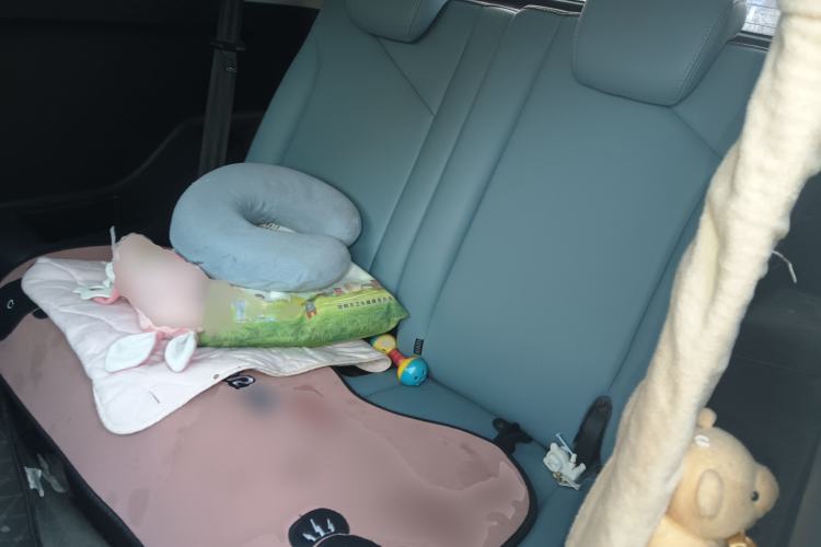 Used Chery Little Ant 2022 Revised Version Sweet Pink Edition Low-Sugar Version 30.6 kWh 30 kW 301 km