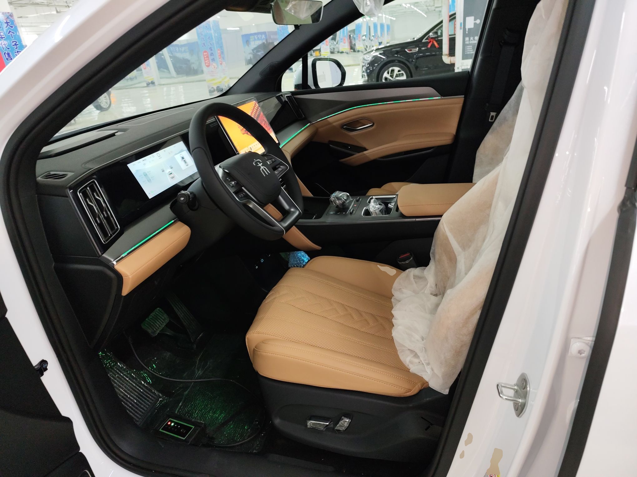 Interior delantero