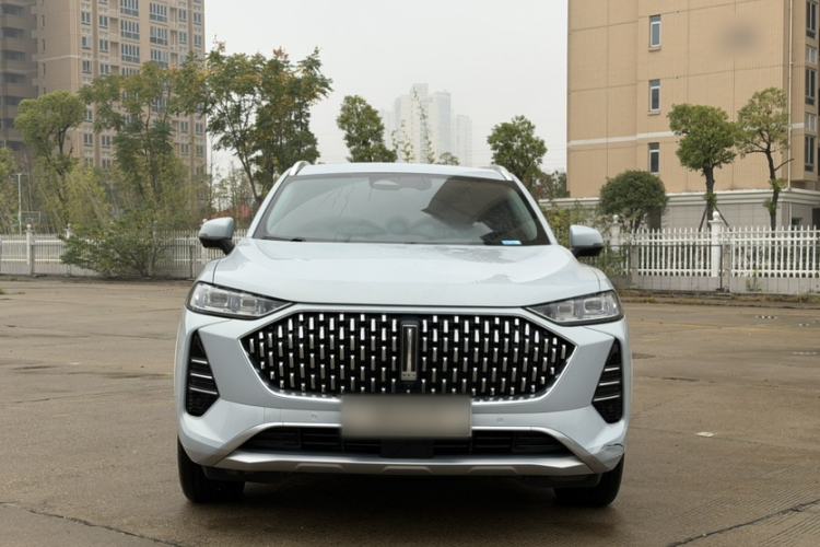 Used Wey Mocha 2021 2.0T Two-Wheel-Drive Premium Edition
