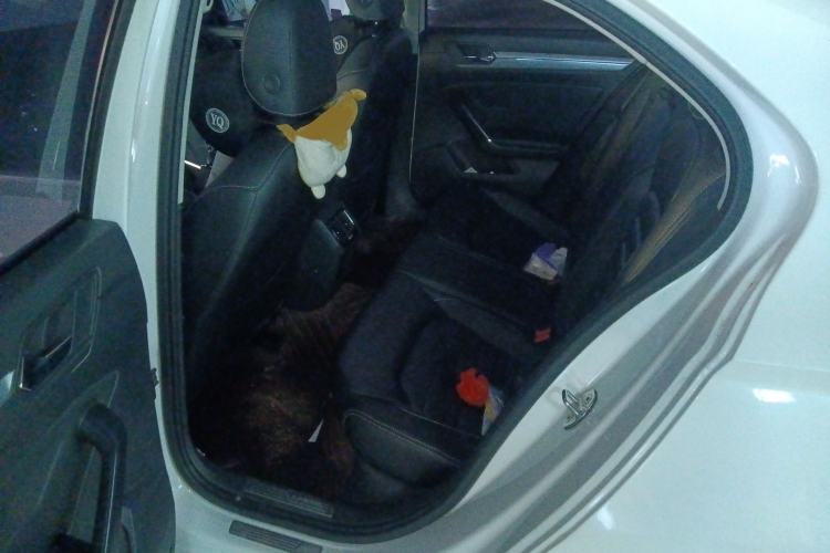 Used Volkswagen Lamando 2017 280TSI DSG Comfort Edition Left Rear Seat