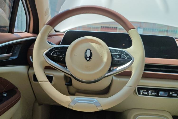 Used ORA Good Cat 2024 401 km Luxury Version Steering Wheel