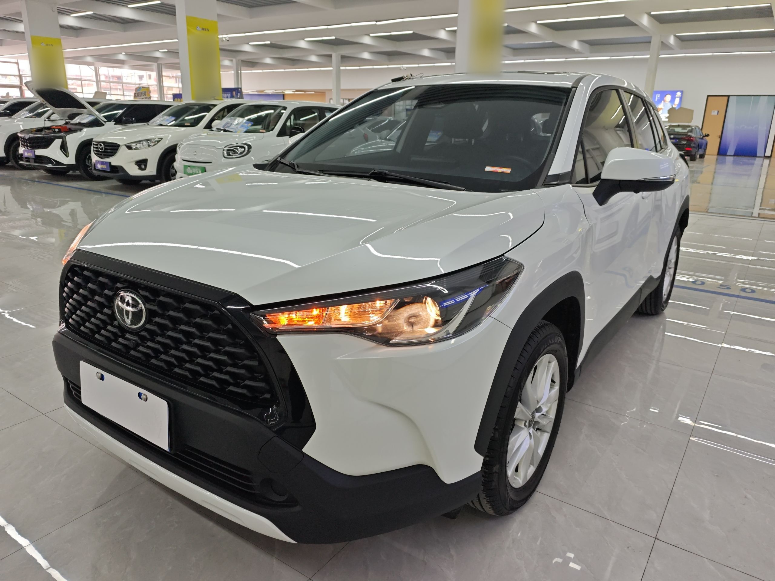 Parte inferior delantera