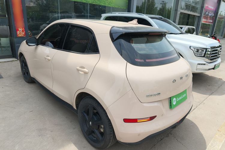 Used ORA Good Cat 2024 401 km Luxury Version Exterior 2