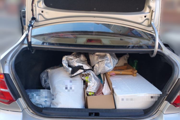 Used Toyota Corolla EX 2013 1.6L Automatic Luxury Edition Trunk