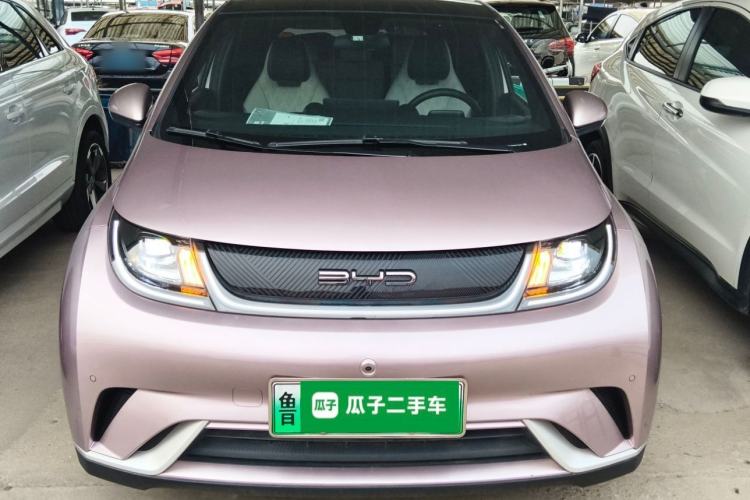 Used BYD Dolphin 2023 420 km Fashion Edition Front