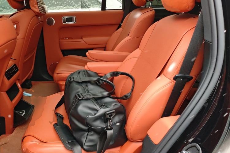 Used Li Auto L8 2024 Pro Model Left Rear Seat