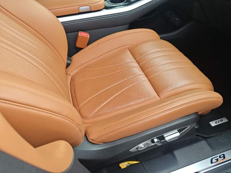 Used XPeng G9 2022 650 Performance Edition Max — 24