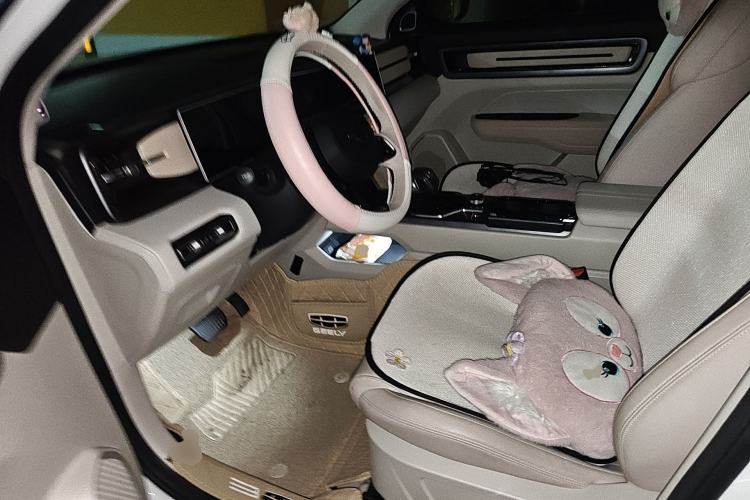 Used Geely Auto icon 2023 1.5TD Chocolate Luxe Edition Left Front Seat