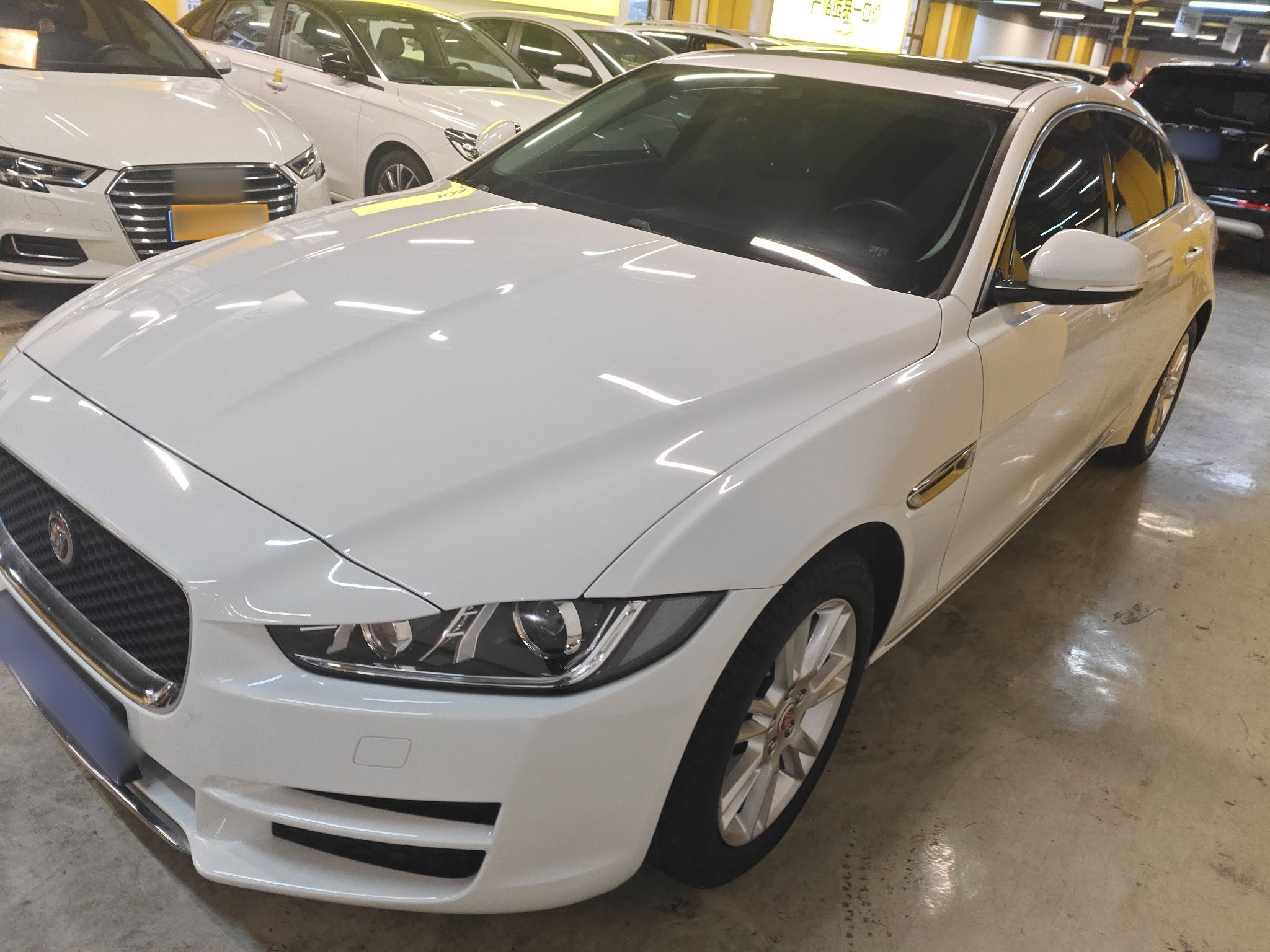 Parte inferior delantera