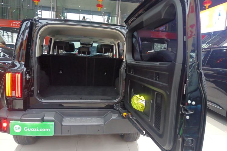 Used Tank 300 2024 2.0T Conqueror