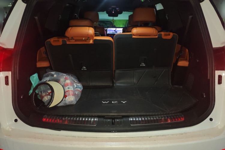 Used Wey Lanshan 2023 Four-Wheel Drive Ultra-Long Range Version
