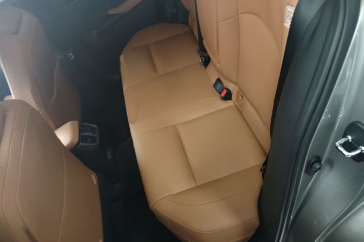 Used Lexus UX New Energy 2020 300e Pure·Joy Edition Left Rear Seat