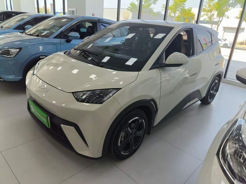 Used BYD Seagull 2024 Honor Edition 305km Freedom Version — 1