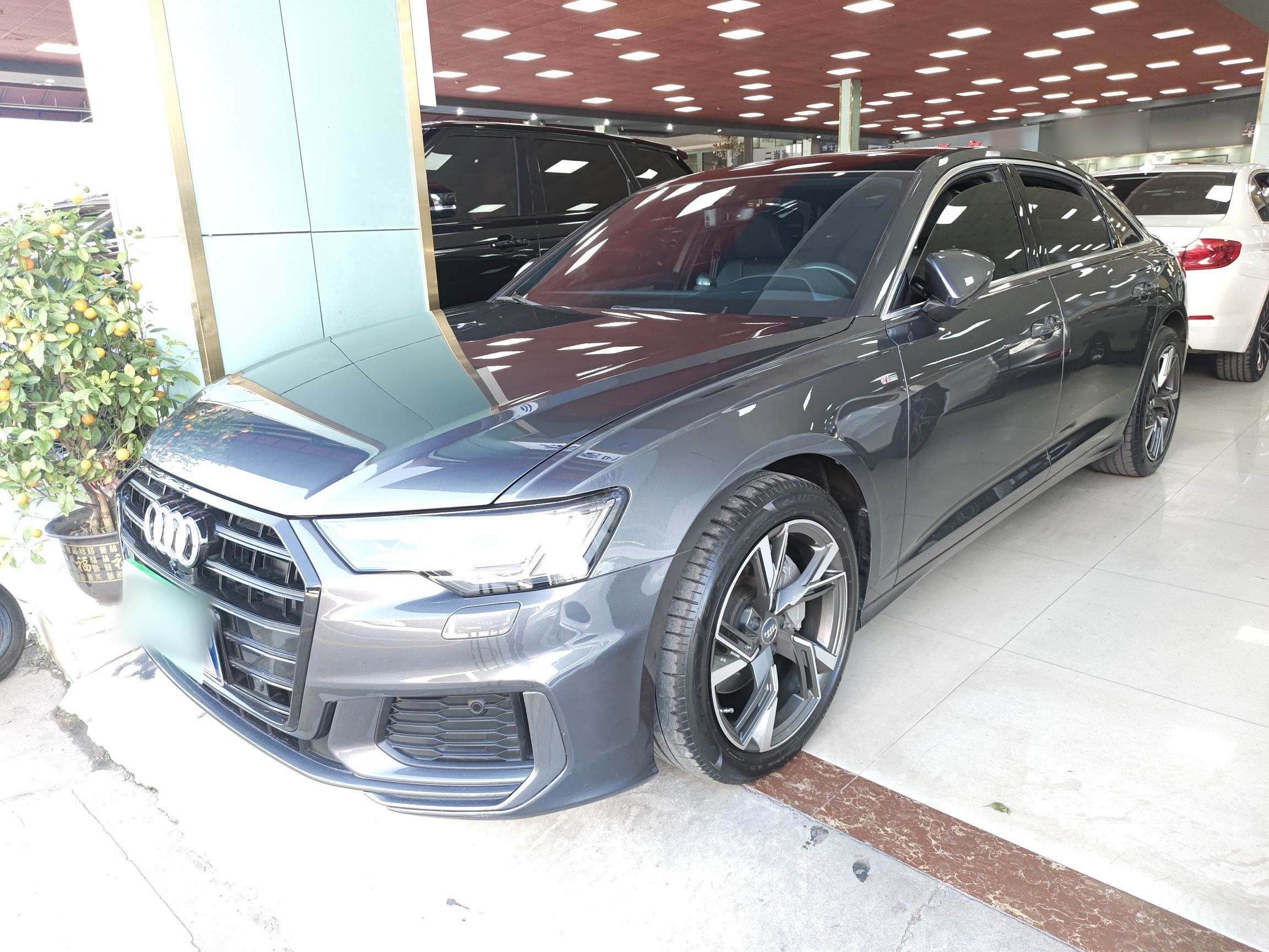 Parte inferior delantera