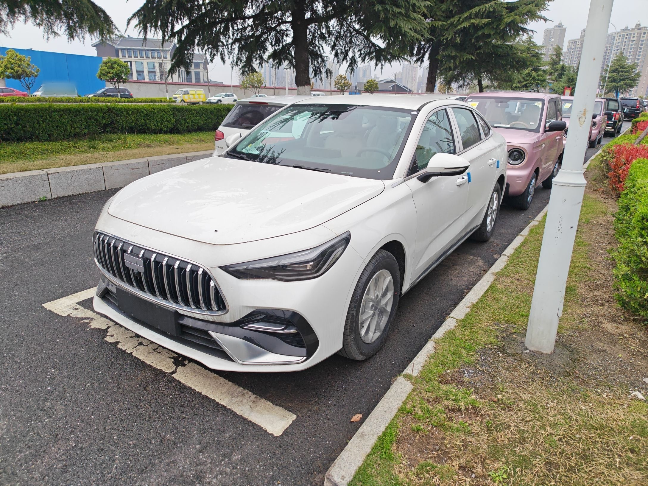 Parte inferior delantera