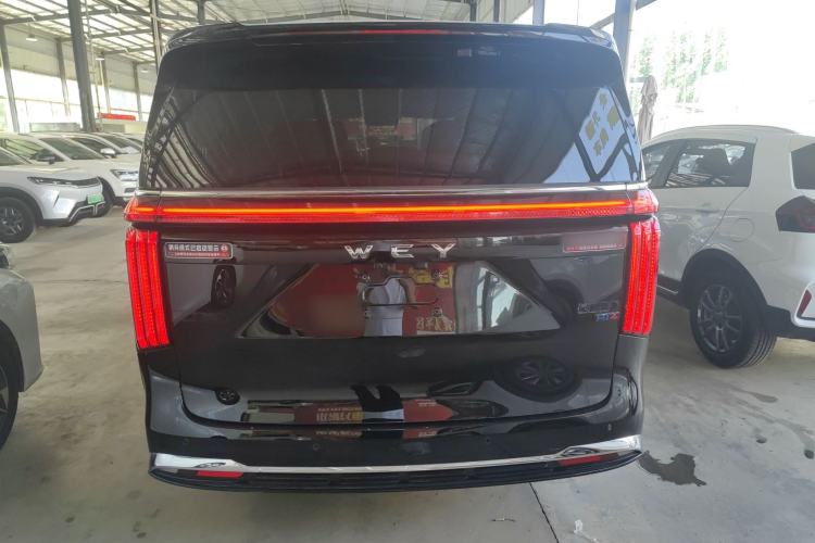 Used Wey Gaoshan 2025 Four-Wheel Drive Alpine 8 Rear