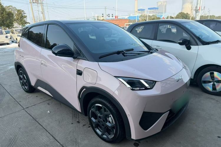 Used BYD Seagull 2025 Smart Drive Version 305 km Freedom Edition
