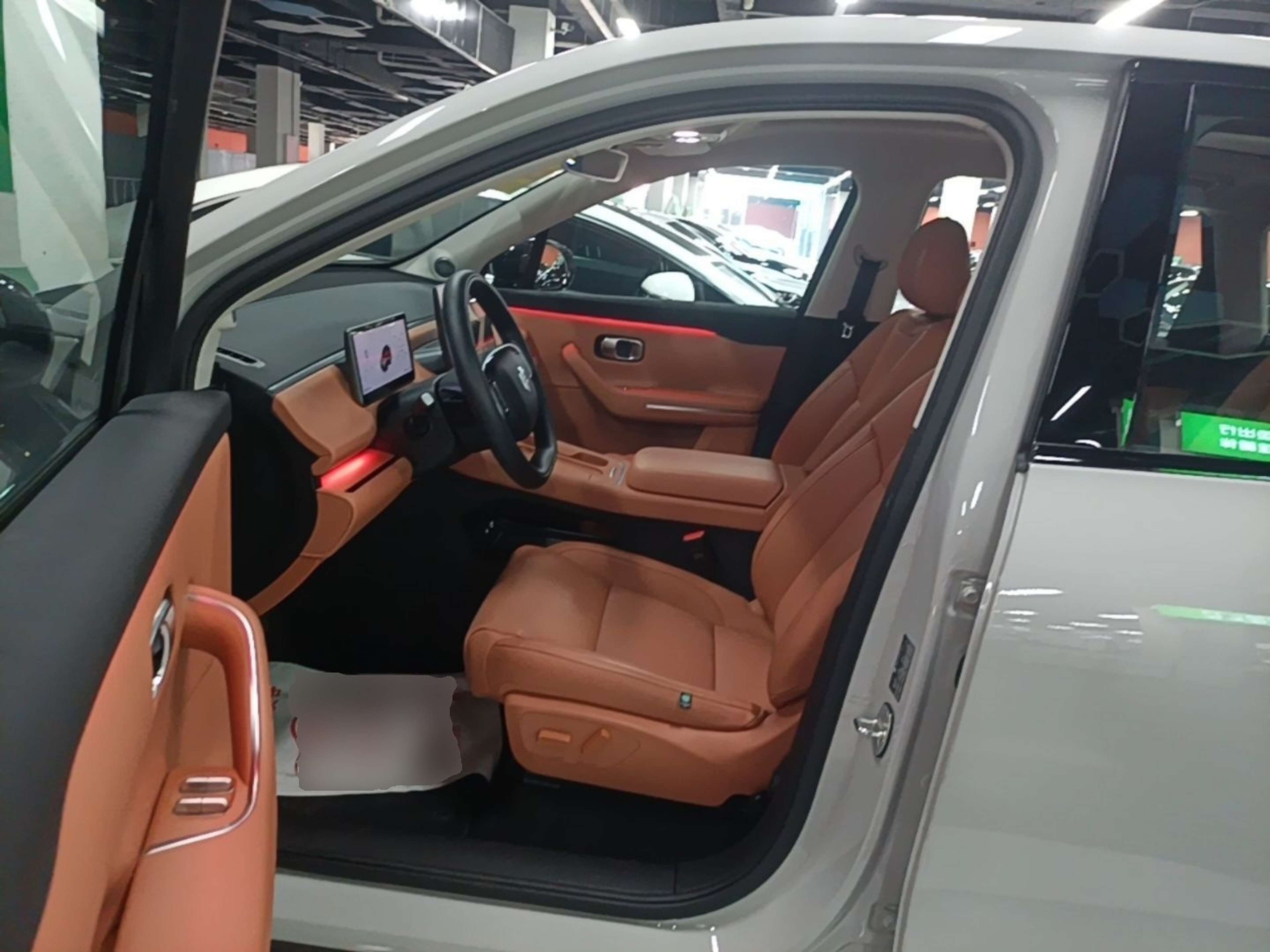 Interior delantero