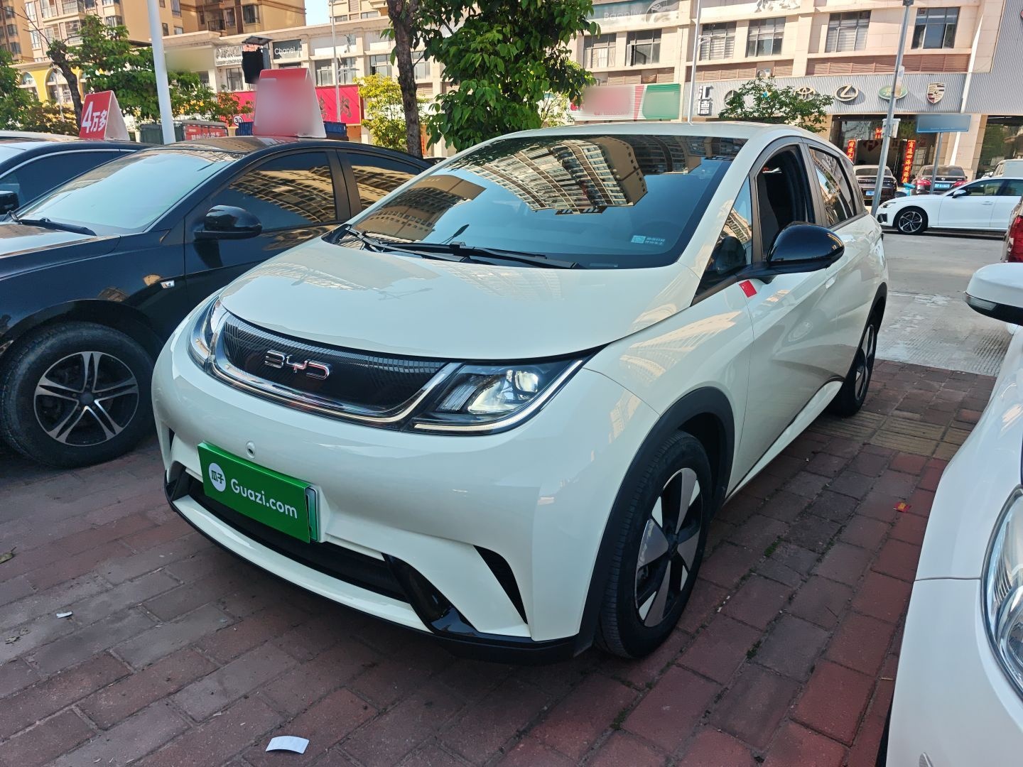 Parte inferior delantera