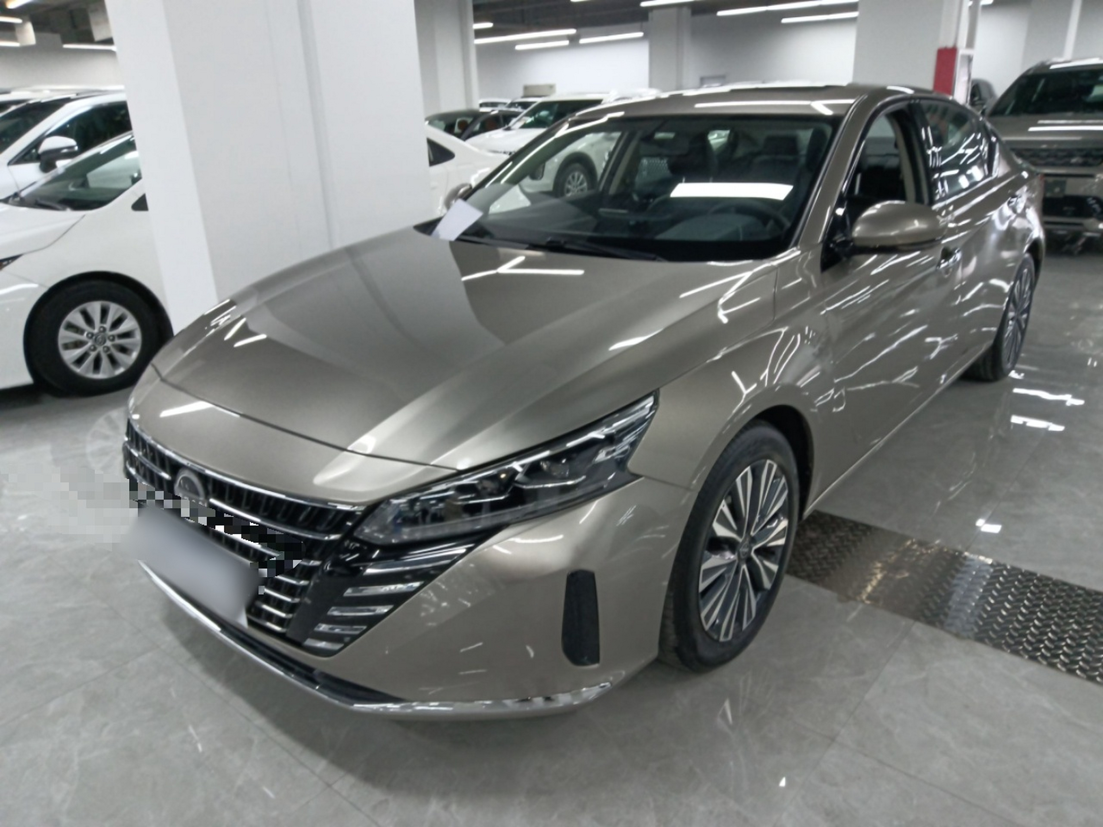 تحت مقدمة السيارة