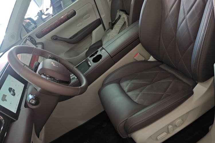 Used Leapmotor C11 2024 Range-Extended 300 Luxury Edition Left Front Seat