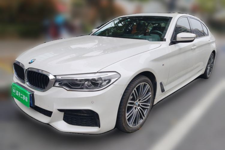 Used BMW 5 Series 2019 530Li Luxury Edition M Sport Package