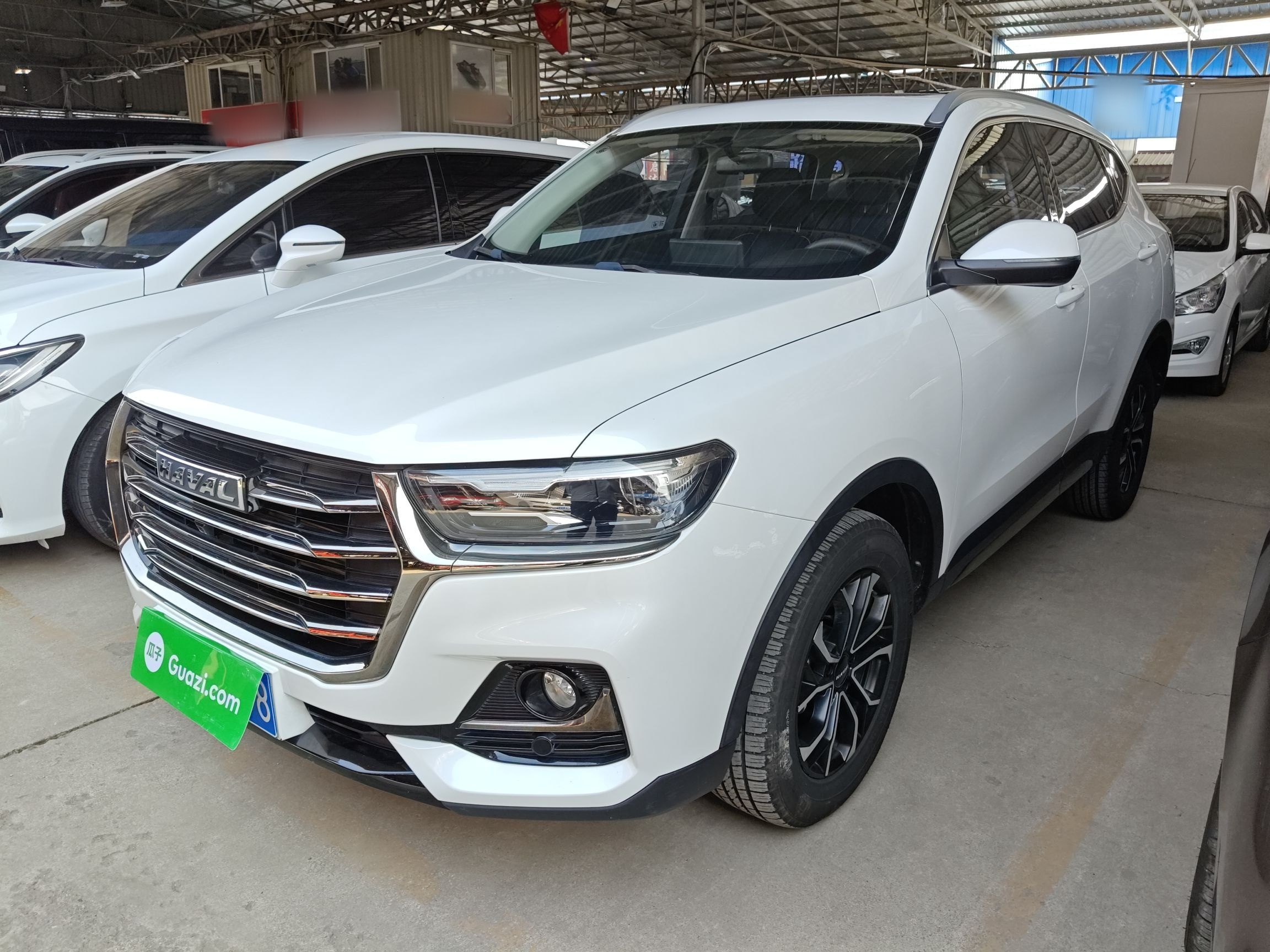 Parte inferior delantera