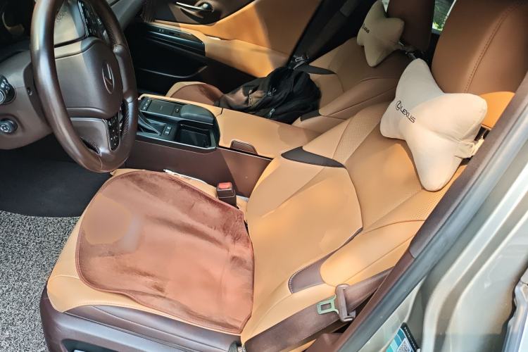 Used Lexus ES 2020 300h Premier Edition
