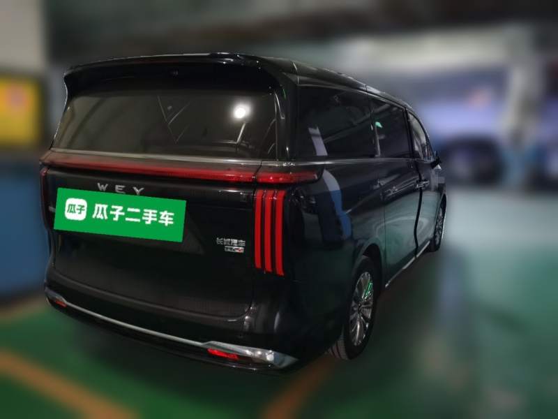 Used Wey Gaoshan 2025 Four-Wheel Drive Alpine 8 — 4
