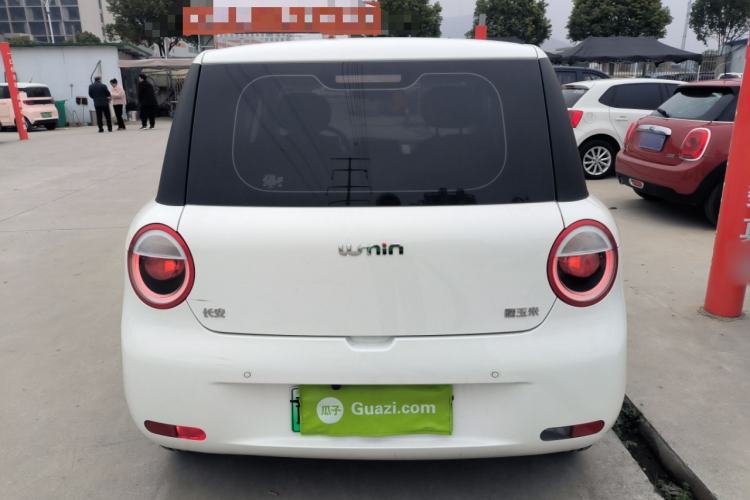 Used Qiyuan Lumin 2025 210 km Fragrant Edition
